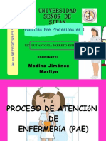 Proceso de Atencion de Enfermeria