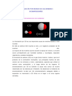 Toxicologia I Tema 7 - Intoxicacion Con Monoxido de Carbono - Biomarcadores