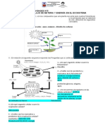 10-Guia de Actividades Nro 5 - Ecologia y Fotosintesis