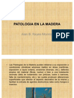 Patologia en La Madera