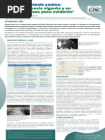 Brucelosis Canina, Una Zoonosis Vigente y en Algunos Casos Poco Evidente