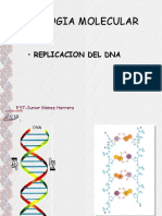 Biologia Molecular: - Replicacion Del Dna