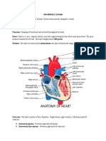 Circulatory System