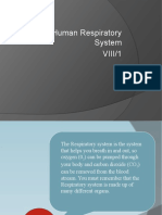 The Human Respiratory System VIII/1: Title Page