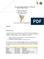 Informe 2 Fitoquimica