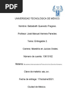 Entregable 2 Mecanismos Internacionales de Protección de Los Derechos Humanos