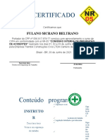 Certificado Cipa Modelo