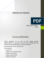 PPT. Medios de Prueba