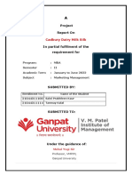 Project Report On: Cadbury Dairy Milk Silk