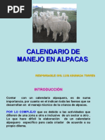 Calendario Manejo Alpacas