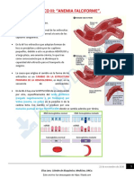 Teorico III Anemia Falciforme