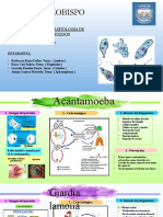 Exposicion de Ameba