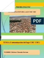 Contaminacion Del Lago Uru Uru