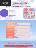 Patología Benigna de Cervix