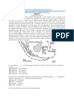 Questão - Aula - Biologia e Geologia 11º Ano