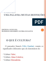 Aula Cultura e Antropologia