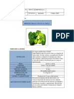 Ficha Tecnica Brocoli