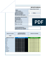 Informe Hse Enerlan Group