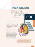 Alimentacion Pollitos Fases Iniciales 2