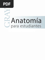 GRAY - Torax y Abdomen