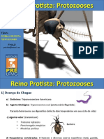 Aula Protozooses