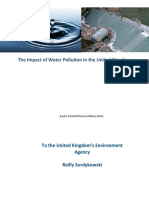 The Impact of Water Pollution in The United Kingdom