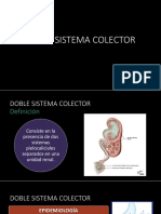 Radiologia Del Doble Sistema Colector