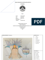 NUR AZIZAH - 5 - CNIDARIA - SYAH FITRI YANI-dikonversi