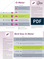 Pet Size o Meter Birds