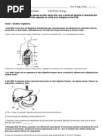 Atividade Sist. Digestório e Muscular