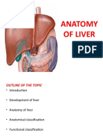 Anatomy of Liver