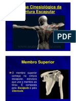 4 - Análise Cinesioloógica Da Cintura Escapular - 2010