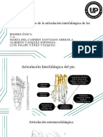 Articulacion Interfalangica de Los Dedos Del Pie