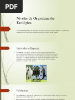 Niveles de Organización Ecológica