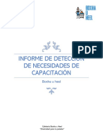 Informe DNC (Ejemplo)