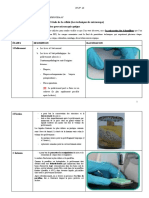 TP N°03 Méthodes D'étude de La Cellule