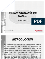 Módulo 7 CROMATOGRAFÍA DE GASES