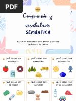 Comprensión y Vocabulario Semántica