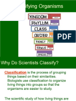 Classifications