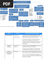 Unidad 1 - Evidencia 2. Documento, Conceptualización y Clasificación de Alimentos.