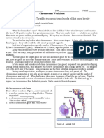 Chromosome Worksheet I. What Are Chromosomes?: Jan. 01 A.lee