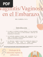 Vaginis Vaginosis