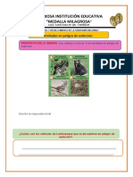 Ficha de Ciencia 11-05