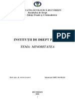 Referat Institutii de Drept Penal Bun