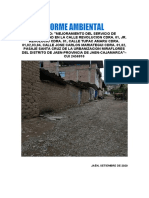 1.00. Informe Ambiental