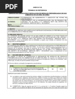 Tdr. Elaboracion de Modulos Prefabricados Ok