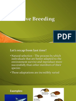 Selective Breeding Notes and Activity