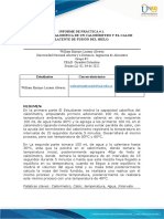 Informe Práctica Fisicoquímica