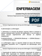 Estrutura Organizacional Dos Serviços de Saude e A Atuação Da Enfermagem