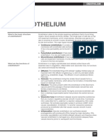 Endothelium: What Is The Basic Structure of Endothelium?